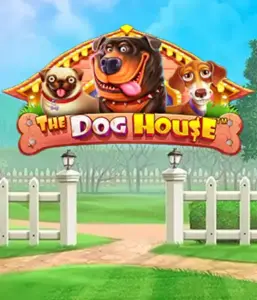 From Pragmatic Play comes The Dog House, bringing you a delightful adventure among charming canines. Enjoy gameplay elements including multipliers, designed for providing joyful moments. A must-try for those who enjoy a lighthearted theme and the opportunity to win big.